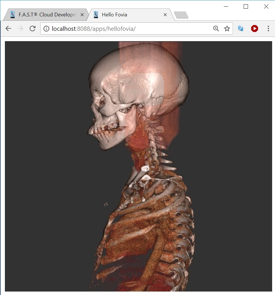 F.A.S.T. WebAppBuilder