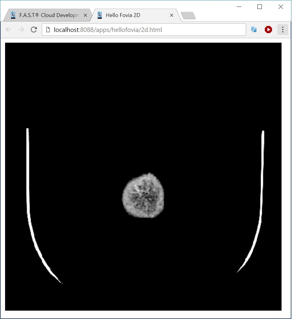 F.A.S.T. WebAppBuilder
